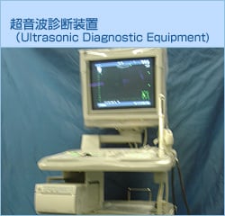 Somascope (Ultrasonic Diagnostic Equipment))